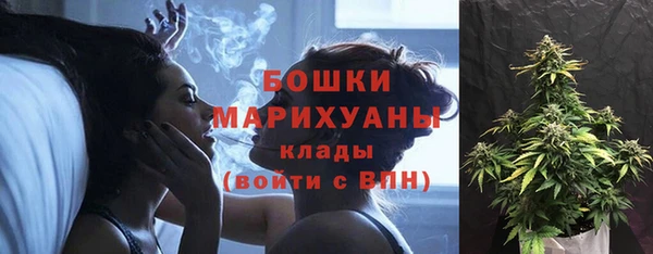 дурь Няндома