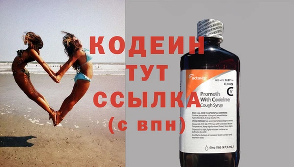 дурь Няндома