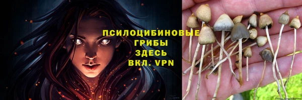 каннабис Новокубанск