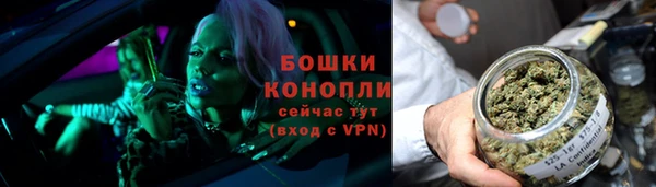 дурь Няндома