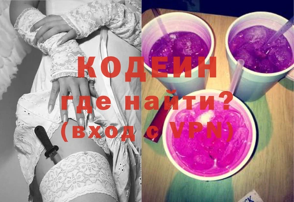 дурь Няндома