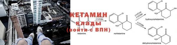 дурь Няндома