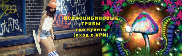дурь Няндома