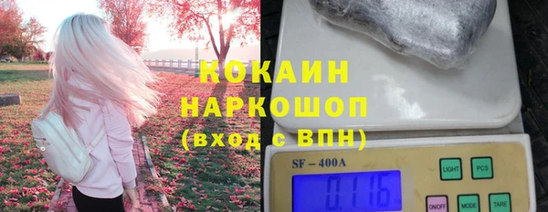 дурь Няндома