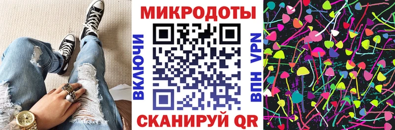 Галлюциногенные грибы Psilocybe  Купить  Каргополь 